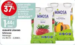 Intermarché Iogurte líquido mimosa promoção