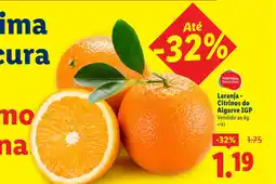 Lidl Laranja - Citrinos do Algarve IGP promoção