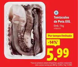 Lidl Tentáculos de Pota XXL promoção