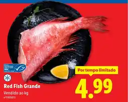 Lidl Red Fish Grande promoção