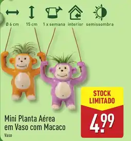 ALDI Mini Planta Aérea em Vaso com Macaco promoção