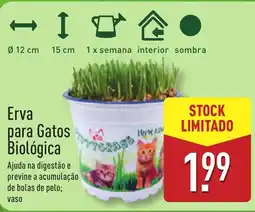 ALDI Erva para Gatos Biológica promoção