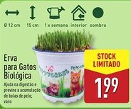 ALDI Erva para Gatos Biológica promoção