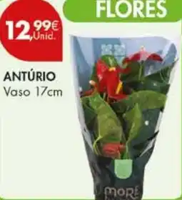 Pingo Doce ANTÚRIO Vaso 17cm promoção
