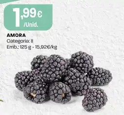 Intermarché Amora promoção