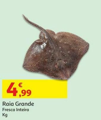 Auchan Raia grande:fresca inteira kg promoção