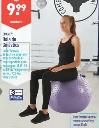 ALDI Crane Bola para ginástica 120kg promoção
