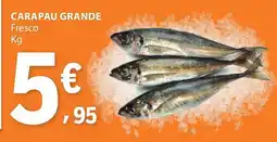 E.Leclerc Carapau grande fresco promoção