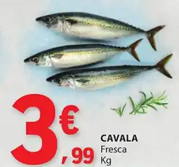 E.Leclerc Cavala fresca promoção
