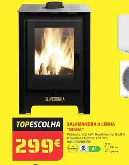 Bricomarché Salamandra a lenha "diana" promoção