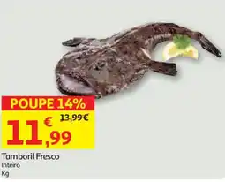 Auchan Tamboril Fresco promoção