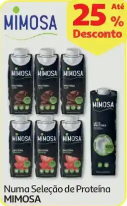 Auchan Numa Seleção de Proteína MIMOSA promoção