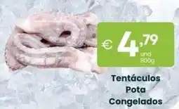 Roque Supermercados Tentáculos Pota Congelados promoção