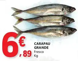 E.Leclerc Carapau grande fresco promoção