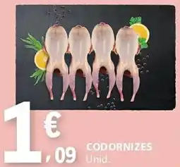 E.Leclerc Codornizes promoção