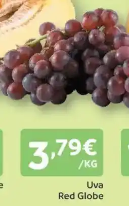 Amanhecer Uva Red Globe promoção