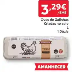Amanhecer Ovos de Galinhas Criadas no solo L promoção