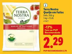 Lidl Terra Nostra Queijo em Fatias promoção
