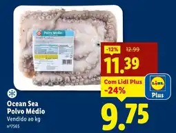 Lidl Ocean Sea Polvo Médio promoção