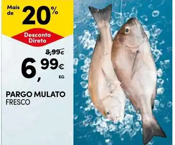 Continente Pargo mulato fresco promoção