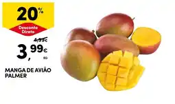 Continente Manga de avião palmer promoção