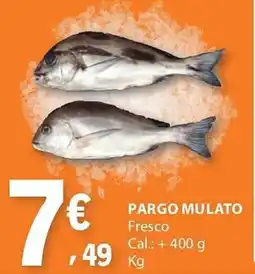 E.Leclerc Pargo mulato promoção