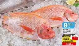Intermarché Tilapia de viveiro fresca promoção