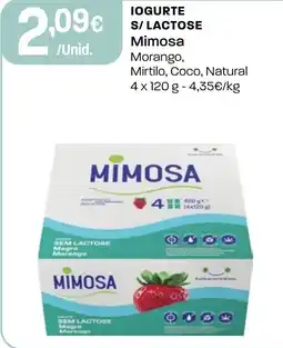 Intermarché Iogurte s/lactose Mimosa promoção