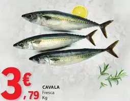 E.Leclerc Cavala fresca promoção