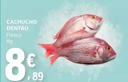 E.Leclerc Cachucho dentão fresco promoção