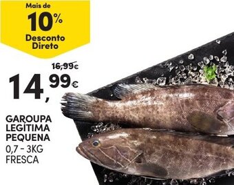 Garoupa Legítima Prquena 0,7-3kg Fresca