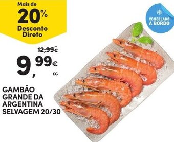 Continente Gambão Grande da Argentina Selvagem 20/30 promoção