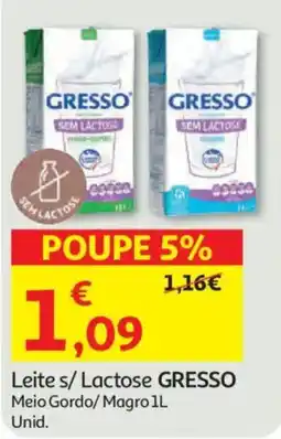 Auchan Leites/Lactose GRESSO promoção