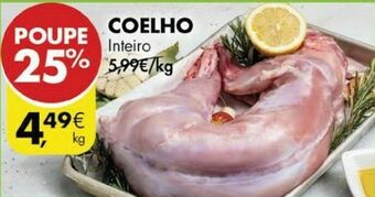 Coelho