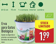 ALDI Erva para Gatos Biológica promoção