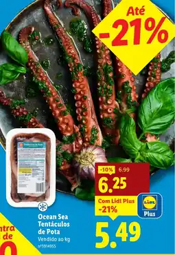 Lidl Ocean Sea Tentáculos de Pota promoção