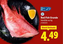 Lidl Red Fish Grande promoção