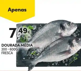 Continente Dourada média promoção