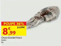 Auchan Choco Grande Fresco promoção