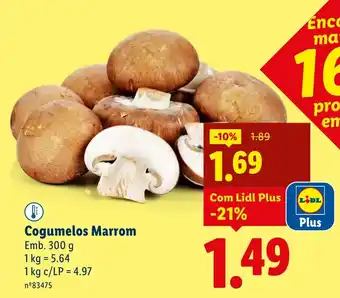 Lidl Cogumelos Marrom promoção