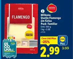Lidl Milbona Queijo Flamengo em Fatias Pack Familiar promoção