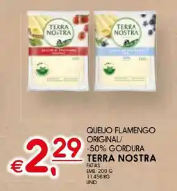 Meu Super Queijo flamengo original/ -50% gordura terra nostra fatias promoção