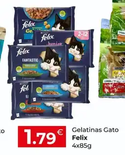 Miranda Supermercados Gelatinas Gato Felix promoção