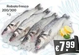 Bolama Robalo fresco 200/300 promoção