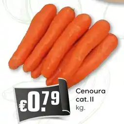 Bolama Cenoura cat. Il promoção