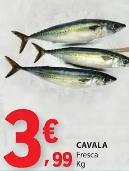 E.Leclerc Cavala fresca promoção
