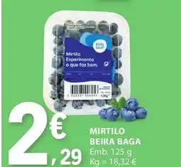 E.Leclerc Mirtilo beira baga promoção