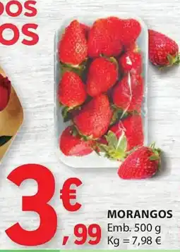 E.Leclerc Morangos promoção