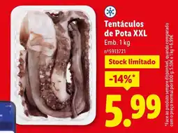 Lidl Tentáculos de Pota XXL promoção