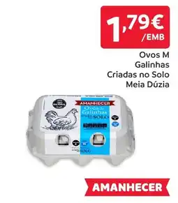 Amanhecer Ovos M Galinhas Criadas no Solo Meia Dúzia promoção